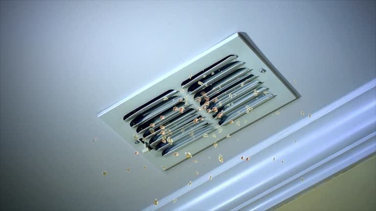 Trusted Sudden Valley, WA Airduct Cleaning Experts